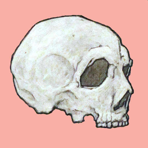 skull-pink